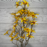 21" FORSYTHIA BUNDLE - YELLOW - 27688 * P
