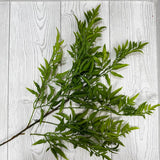 23" FRESH TOUCH MING ARABIA SPRAY X7 LTV RN - 28303 * OO