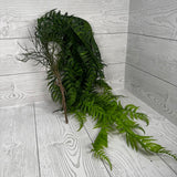 PLASTIC HANGING FERN - GREEN - G25071-GRN * R BR