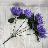 MUM BUSH X5 - PURPLE - B25009-PUR * P G