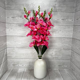 GLADIOLA BUSH X5 - PINK - B25025-PINK * RD
