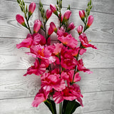 GLADIOLA BUSH X5 - PINK - B25025-PINK * RD