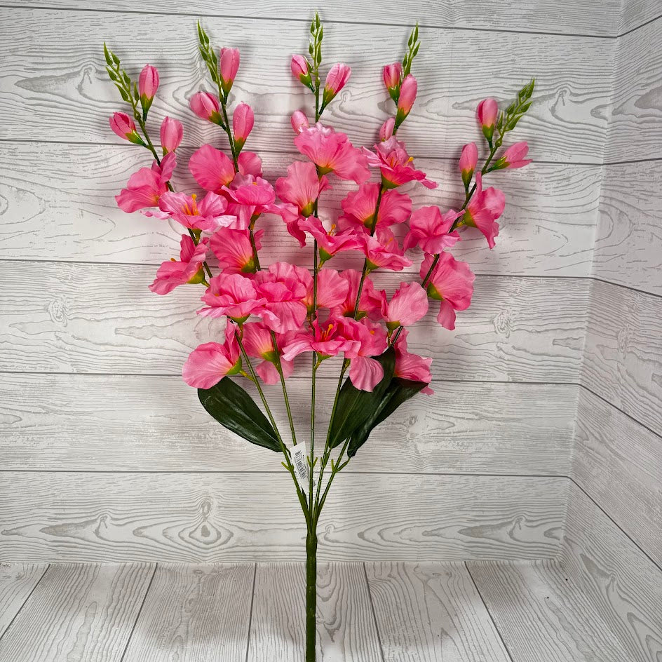 GLADIOLA BUSH X5 - PINK - B25025-PINK * RD