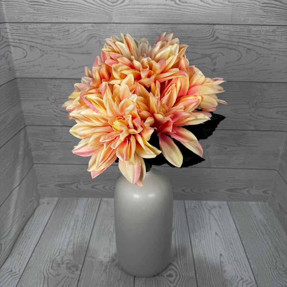 DAHLIA X5 - CREAM/PINK - B26009-CMPK * G