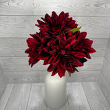 DAHLIA X5 - RED - B26009-RED * G