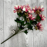 19" DELONIX SPRAY - PINK - 28409