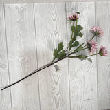 20" DAISY BUNDLE - PINK - 28941 * P