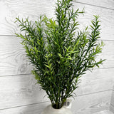 17 1/2" FRESH TOUCH ROSEMARY BUSH X81 - YELLOW/GREEN - 28302 * OO