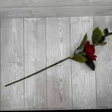 MAGNOLIA STEM X2 H25.5 - RED - 29346RD * BR