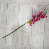 MOKARA ORCHID STEM H22 - BEAUTY- 64051BT * G