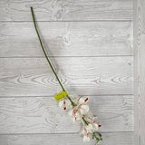MOKARA ORCHID STEM H22 - CREAM - 64051CM * G