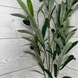 36IN OLIVE SPRAY X6 - 85479 * PU