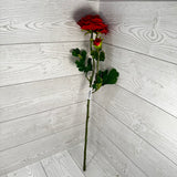 23.5IN RANUNCULUS SPRAY X2 - RED - 85570-RD * PU