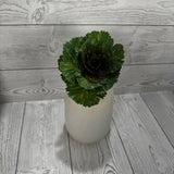 9IN CABBAGE PICK - GREEN - 85663-GN