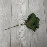 9IN CABBAGE PICK - GREEN - 85663-GN