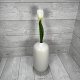 19IN TULIP - CREAM - 85640-CR * G