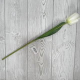 19IN TULIP - CREAM - 85640-CR * G