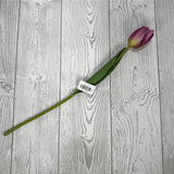 19IN TULIP - PURPLE - 85640-PU * G