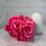 COLOR FAST LILLIAN OPEN ROSE BUSH X12 STEM H17 - 30388 - INDIVIDUAL COLORS