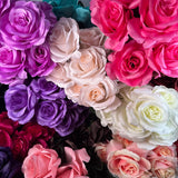 COLOR FAST LILLIAN OPEN ROSE BUSH X12 STEM H17 - 30388 - INDIVIDUAL COLORS