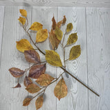 21IN BIRCH LEAVES PICK - YELLOW/BROWN - 65188-YELBRN * OO