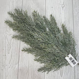26IN CEDAR SPRAY - 84352 * BR