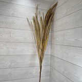 40IN FLAX GRASS SPRAY - GREEN - 65659-GN * OO