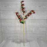METALLIC CURLY SPRAY X3 H27 - RED/GREEN/GOLD - 86277RDGN * G