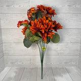 DAHLIA DAISY FILLER BUSH X14 H21 - RUST - 57351RUST * BL G
