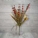 BERRY FILLER BUSH H21 - ORANGE - 57425OR * 00