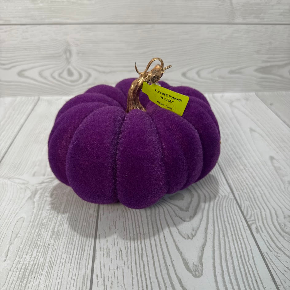FLOCKED PUMPKIN H4XDIA7 - PURPLE - 56954PU * RD