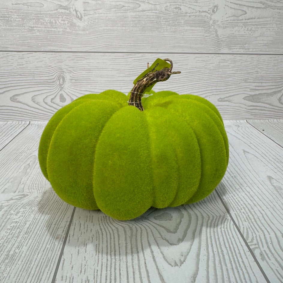 FLOCKED PUMPKIN H4XDIA7 - LIME - 56954LIME * RD