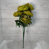 PEONY FALL BUSH X7 - GREEN - 22206 * RD