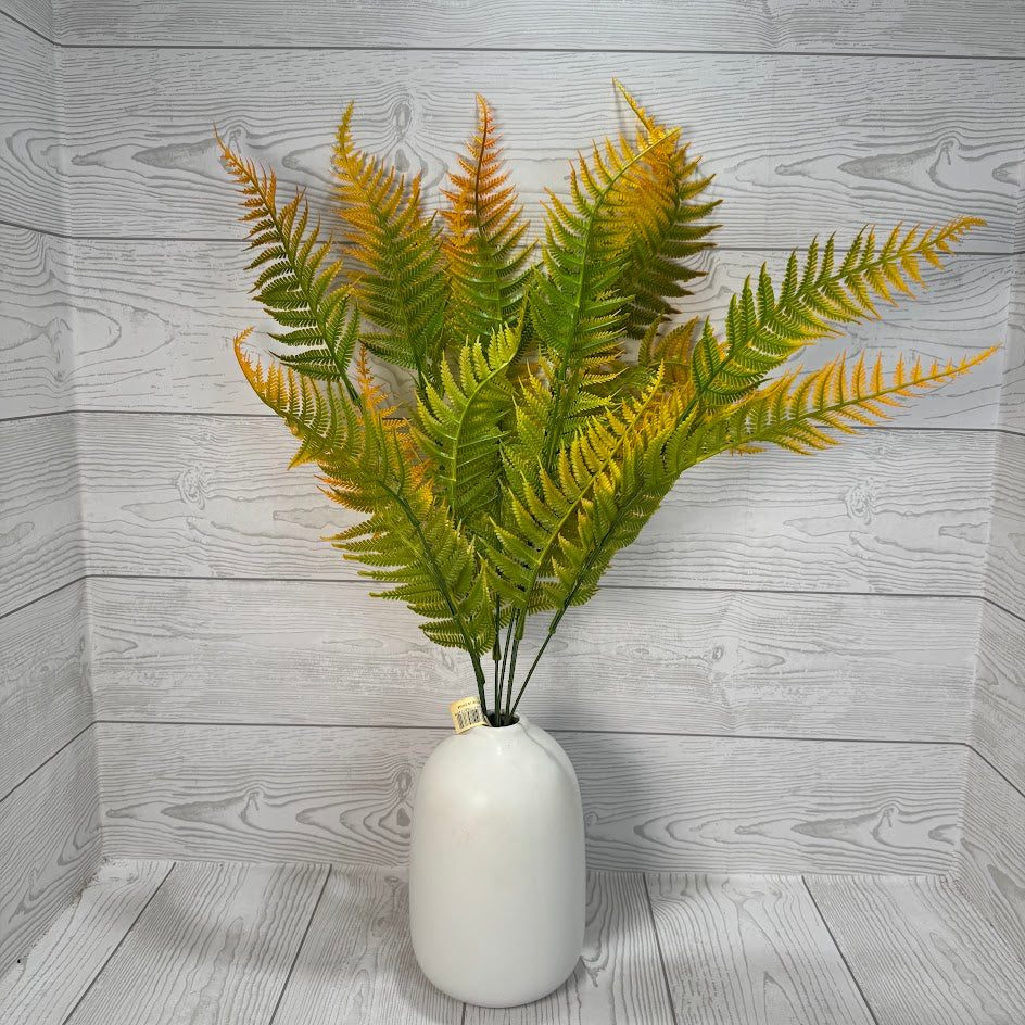 PLS FERN X7 - ORANGE - 58174 * R BR