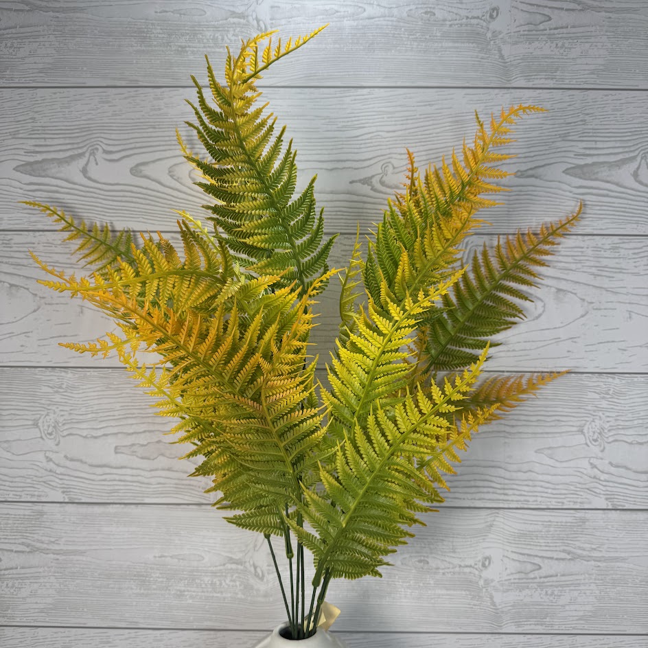 PLS FERN X7 - ORANGE - 58174 * R BR