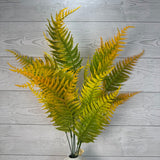 PLS FERN X7 - ORANGE - 58174 * R BR