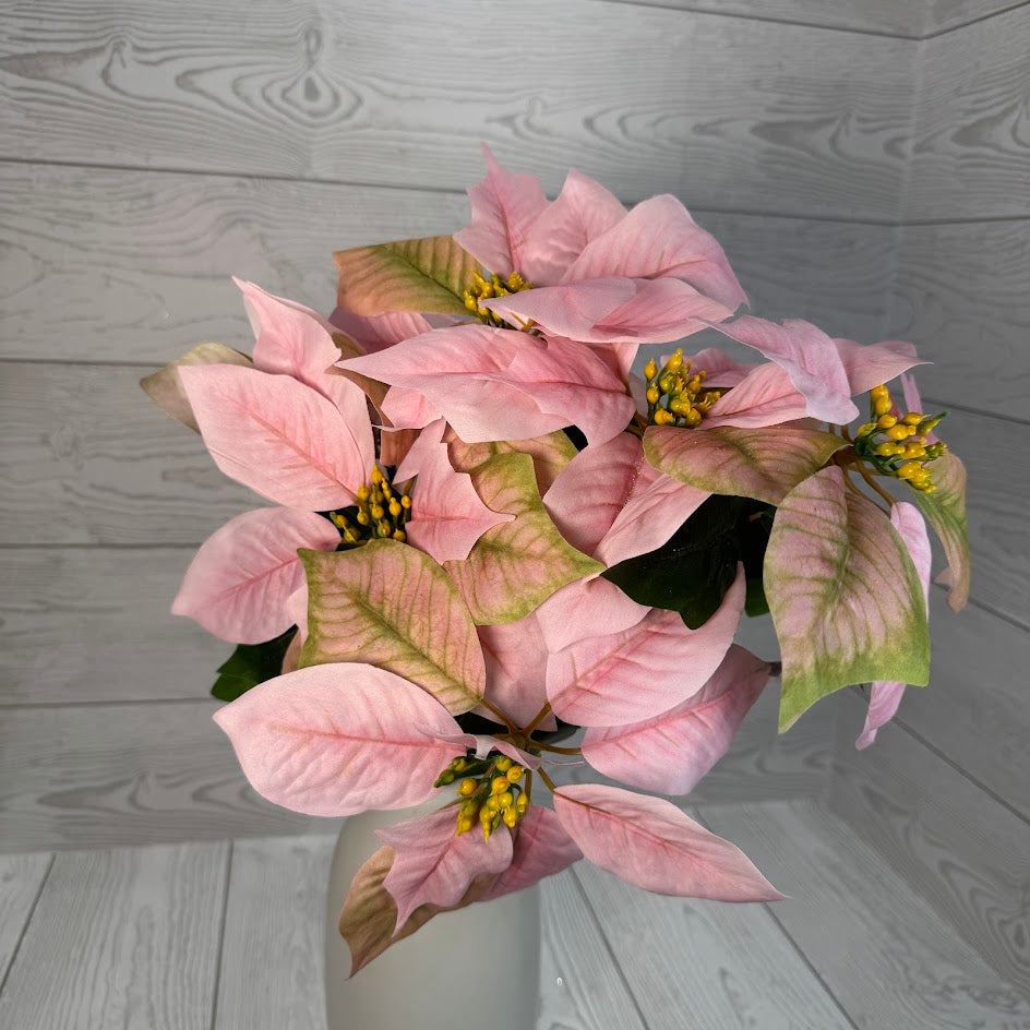 FANCY POINSETTIA BUSH X7 PINK - 54683