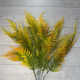 PLS FERN X9 - ORANGE/YELLOW - 58343 * R BR