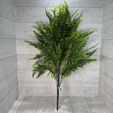 PLS LARGE MIX FERN BUSH X18 - GREEN - 57201 * R BR