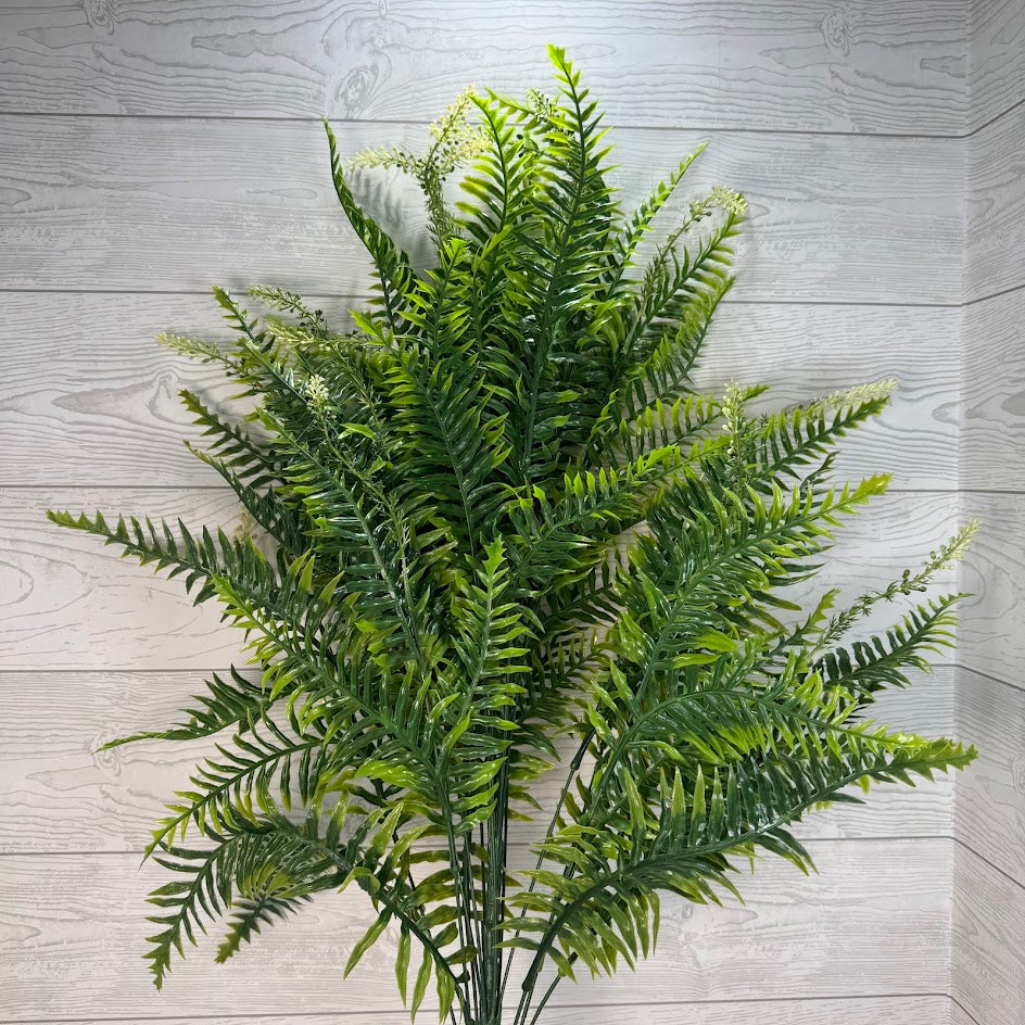 PLS LARGE MIX FERN BUSH X18 - GREEN - 57201 * R BR
