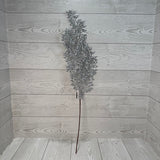 GLITTER BOXWOOD SPRAY X3 - SILVER - 69432 * G