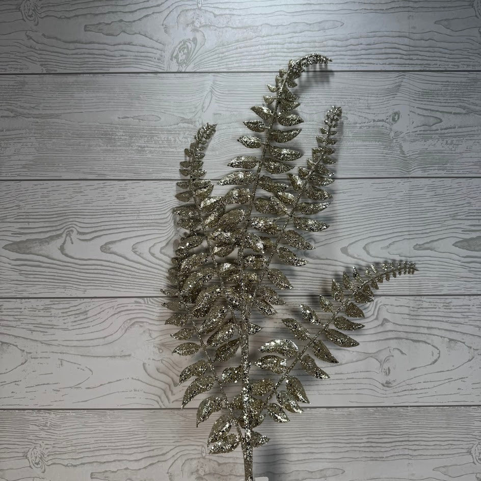 XMAS FERN SRPAY - CHAMPAGNE - 68696 * G