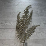XMAS FERN SRPAY - CHAMPAGNE - 68696 * G