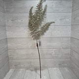 XMAS FERN SRPAY - CHAMPAGNE - 68696 * G