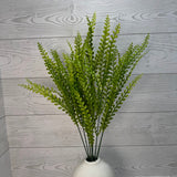 PLS FERN BUSH X7 - GREEN - 59641 * R BR