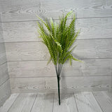 PLS FERN BUSH X7 - CREAM - 59643 * R BR