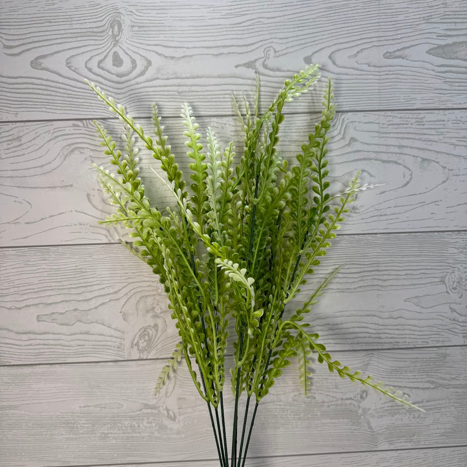 PLS FERN BUSH X7 - CREAM - 59643 * R BR