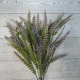 PLS FERN BUSH X7 - PURPLE - 59646 * R BR