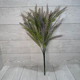 PLS FERN BUSH X7 - PURPLE - 59646 * R BR