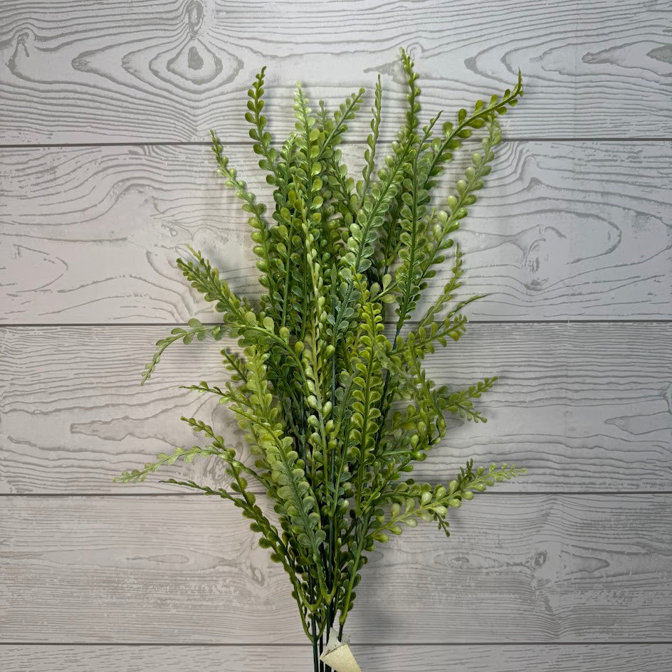 PLS FERN BUSH X7 - FSGREEN - 59642 * R BR